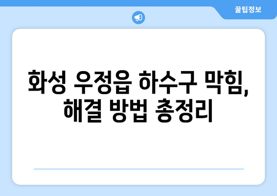 경기도 화성시 우정읍 하수구막힘 | 가격 | 비용 | 기름제거 | 싱크대 | 변기 | 세면대 | 역류 | 냄새차단 | 2024 후기