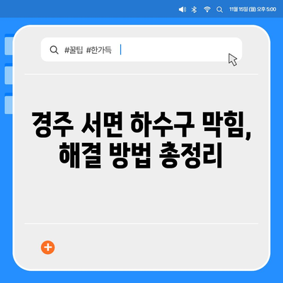경상북도 경주시 서면 하수구막힘 | 가격 | 비용 | 기름제거 | 싱크대 | 변기 | 세면대 | 역류 | 냄새차단 | 2024 후기