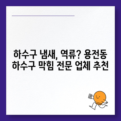대전시 동구 용전동 하수구막힘 | 가격 | 비용 | 기름제거 | 싱크대 | 변기 | 세면대 | 역류 | 냄새차단 | 2024 후기