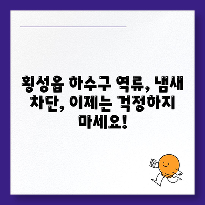 강원도 횡성군 횡성읍 하수구막힘 | 가격 | 비용 | 기름제거 | 싱크대 | 변기 | 세면대 | 역류 | 냄새차단 | 2024 후기