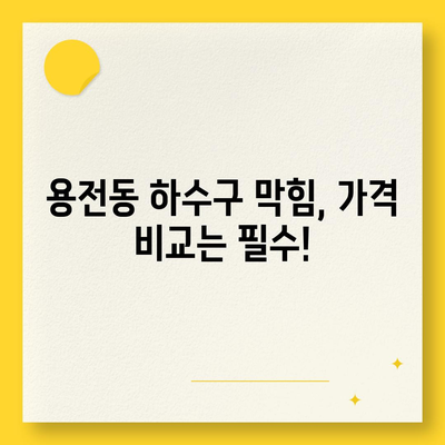 대전시 동구 용전동 하수구막힘 | 가격 | 비용 | 기름제거 | 싱크대 | 변기 | 세면대 | 역류 | 냄새차단 | 2024 후기