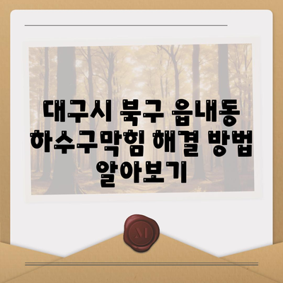 대구시 북구 읍내동 하수구막힘 | 가격 | 비용 | 기름제거 | 싱크대 | 변기 | 세면대 | 역류 | 냄새차단 | 2024 후기
