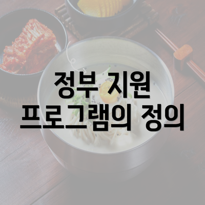 정부 지원 프로그램의 정의