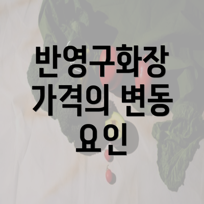 반영구화장 가격의 변동 요인