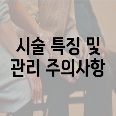 시술 특징 및 관리 주의사항