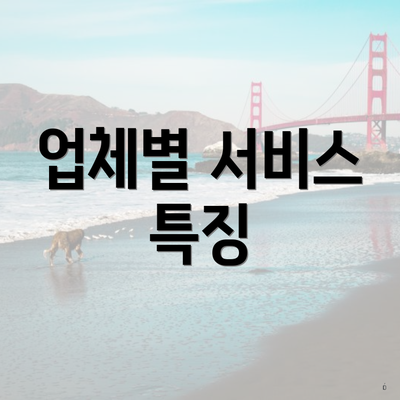 업체별 서비스 특징