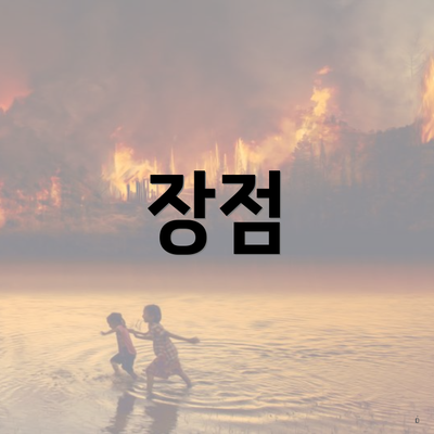 장점