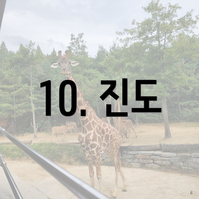 10. 진도