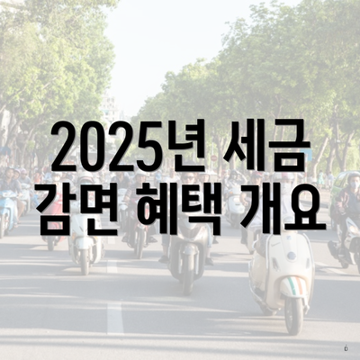 2025년 세금 감면 혜택 개요