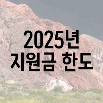 2025년 지원금 한도