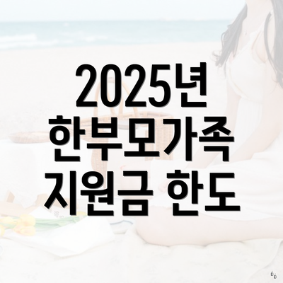 2025년 한부모가족 지원금 한도