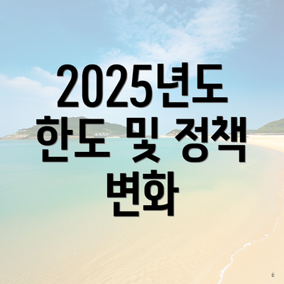 2025년도 한도 및 정책 변화