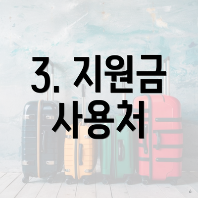 3. 지원금 사용처