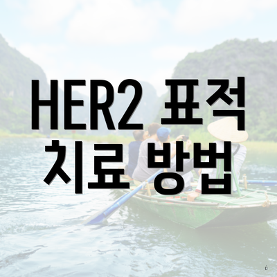 HER2 표적 치료 방법