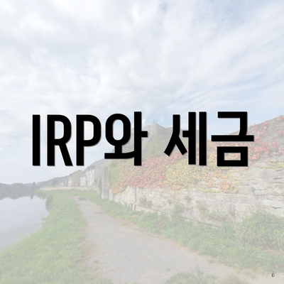 IRP와 세금
