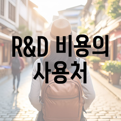 R&D 비용의 사용처