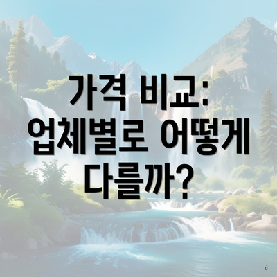 가격 비교: 업체별로 어떻게 다를까?
