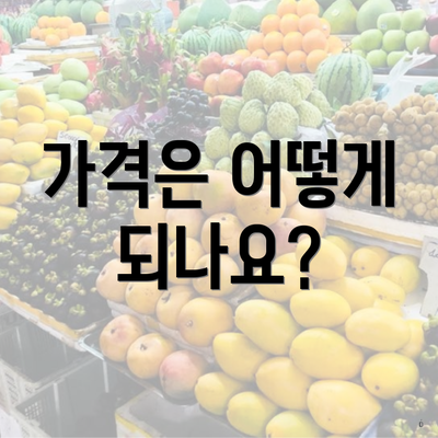 가격은 어떻게 되나요?