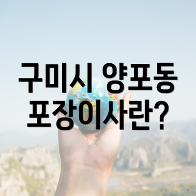 구미시 양포동 포장이사란?