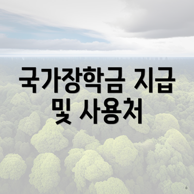 국가장학금 지급 및 사용처