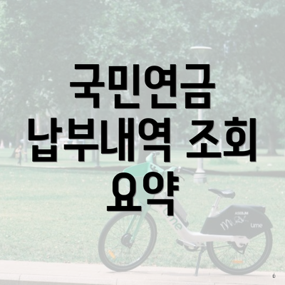 국민연금 납부내역 조회 요약
