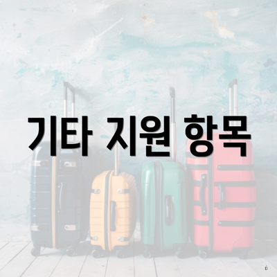 기타 지원 항목