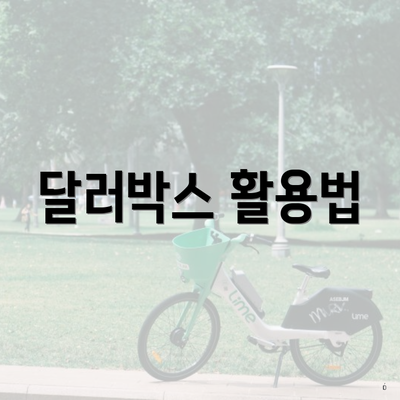 달러박스 활용법