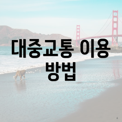 대중교통 이용 방법