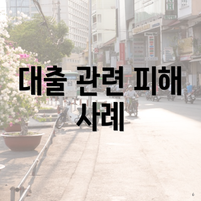 대출 관련 피해 사례