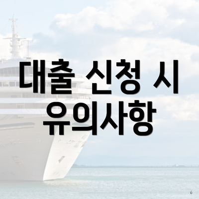 대출 신청 시 유의사항