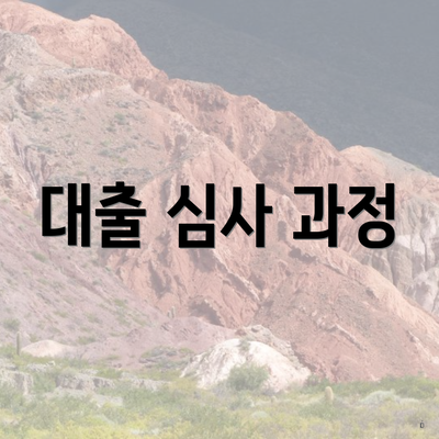 대출 심사 과정