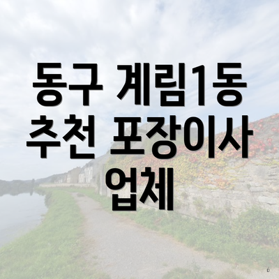 동구 계림1동 추천 포장이사 업체