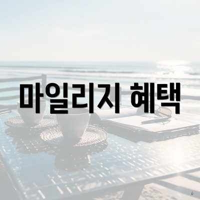 마일리지 혜택
