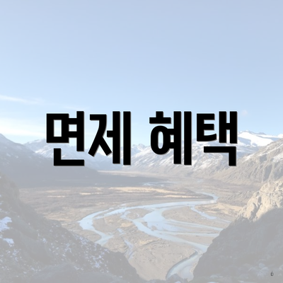 면제 혜택