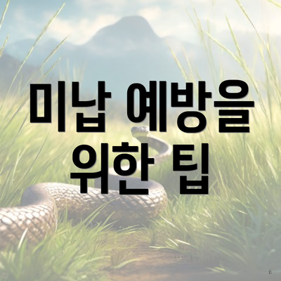 미납 예방을 위한 팁
