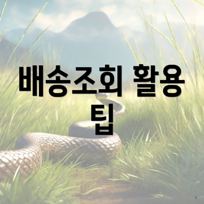 배송조회 활용 팁