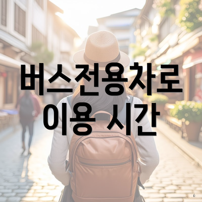 버스전용차로 이용 시간
