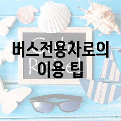 버스전용차로의 이용 팁