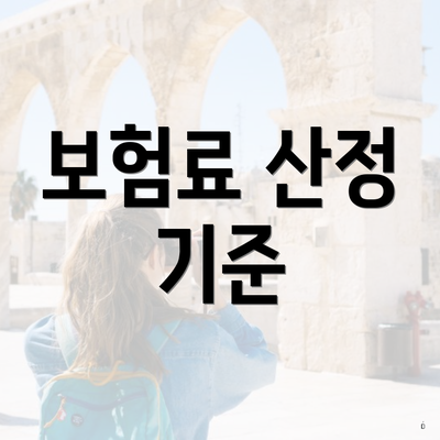 보험료 산정 기준