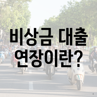 비상금 대출 연장이란?