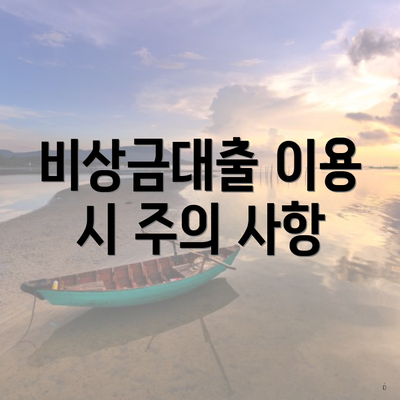 비상금대출 이용 시 주의 사항