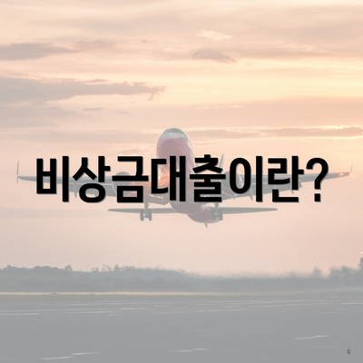 비상금대출이란?