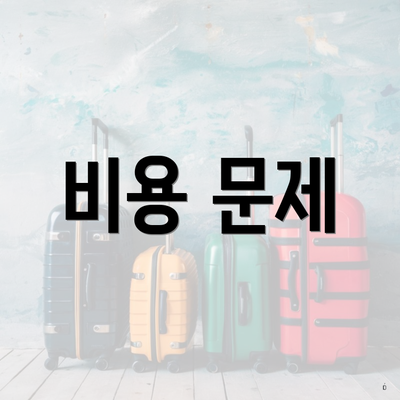 비용 문제