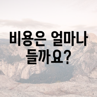 비용은 얼마나 들까요?