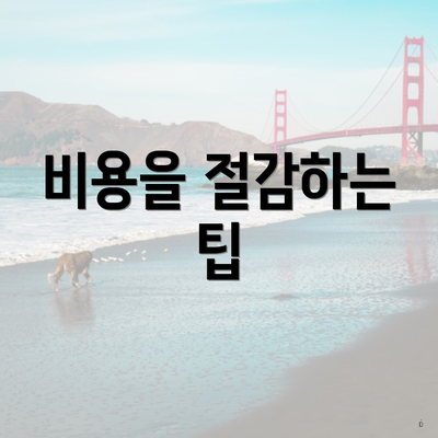 비용을 절감하는 팁