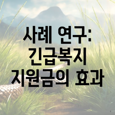 사례 연구: 긴급복지 지원금의 효과