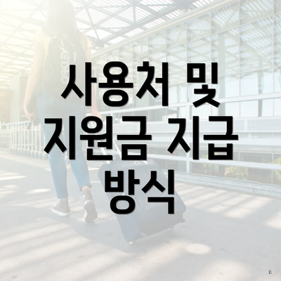 사용처 및 지원금 지급 방식
