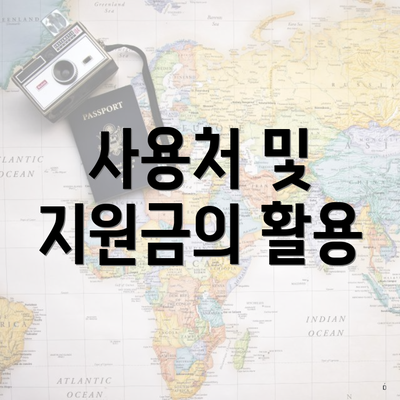 사용처 및 지원금의 활용