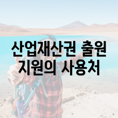 산업재산권 출원 지원의 사용처