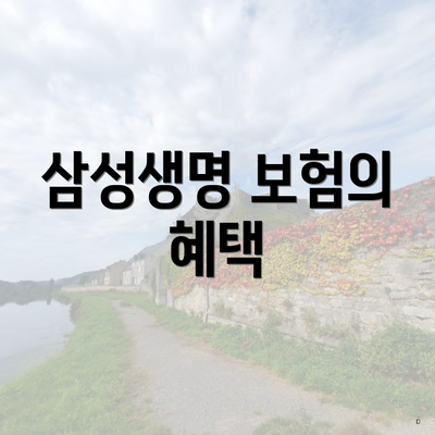 삼성생명 보험의 혜택